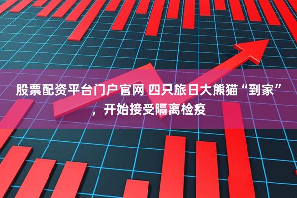 股票配资平台门户官网 四只旅日大熊猫“到家”，开始接受隔离检疫