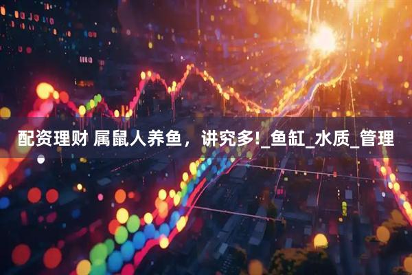 配资理财 属鼠人养鱼，讲究多!_鱼缸_水质_管理