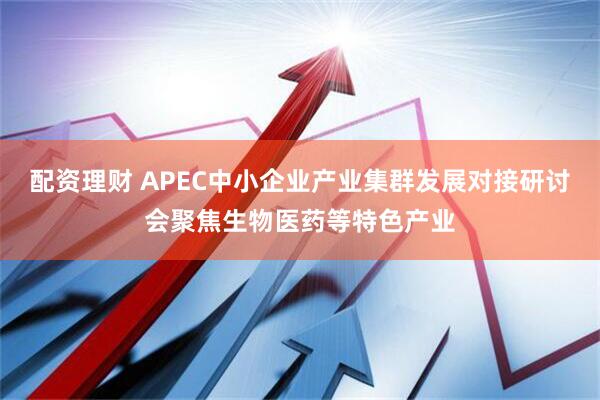 配资理财 APEC中小企业产业集群发展对接研讨会聚焦生物医药等特色产业