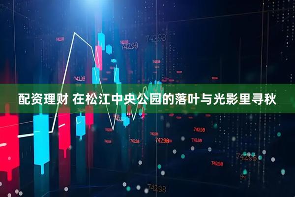 配资理财 在松江中央公园的落叶与光影里寻秋